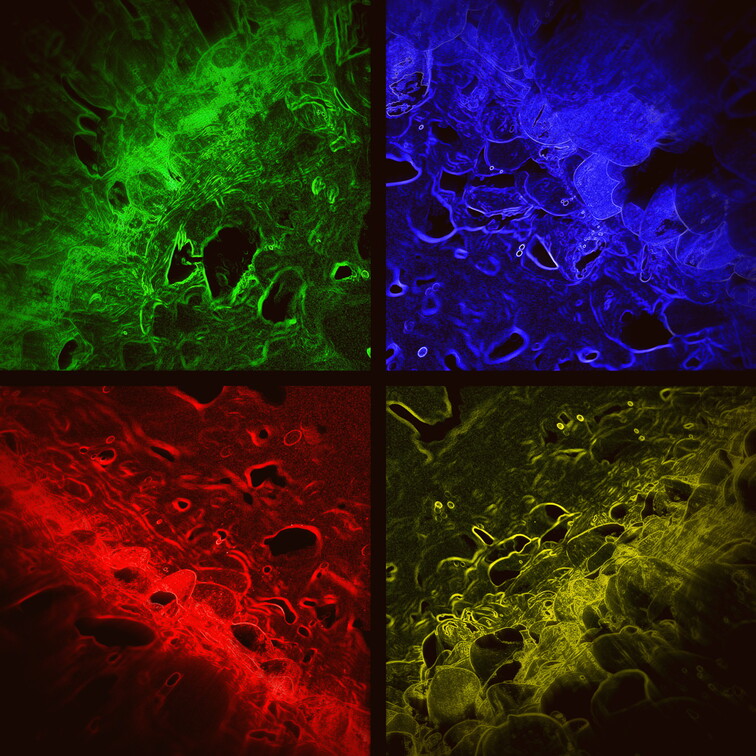 QuadColor (Neon) zoom lomo 1960er.jpg